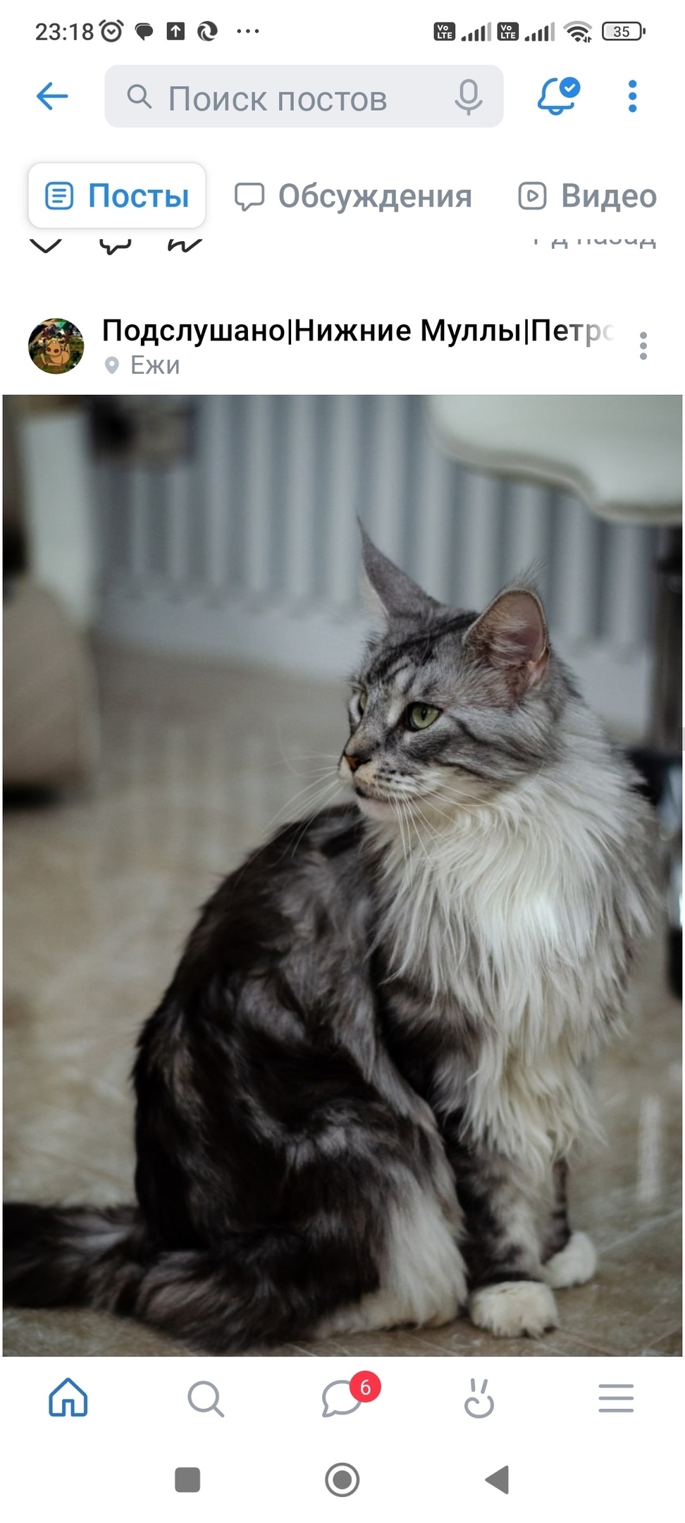 Найдена собака в Хабаровске — фото объявления