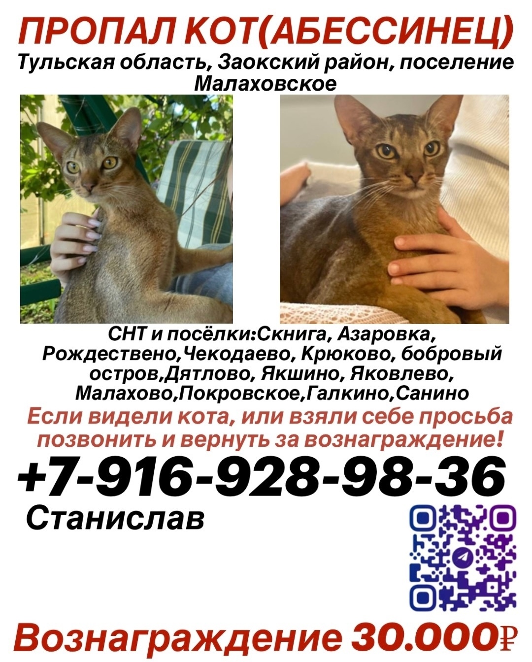 Найдена собака в Хабаровске — фото объявления