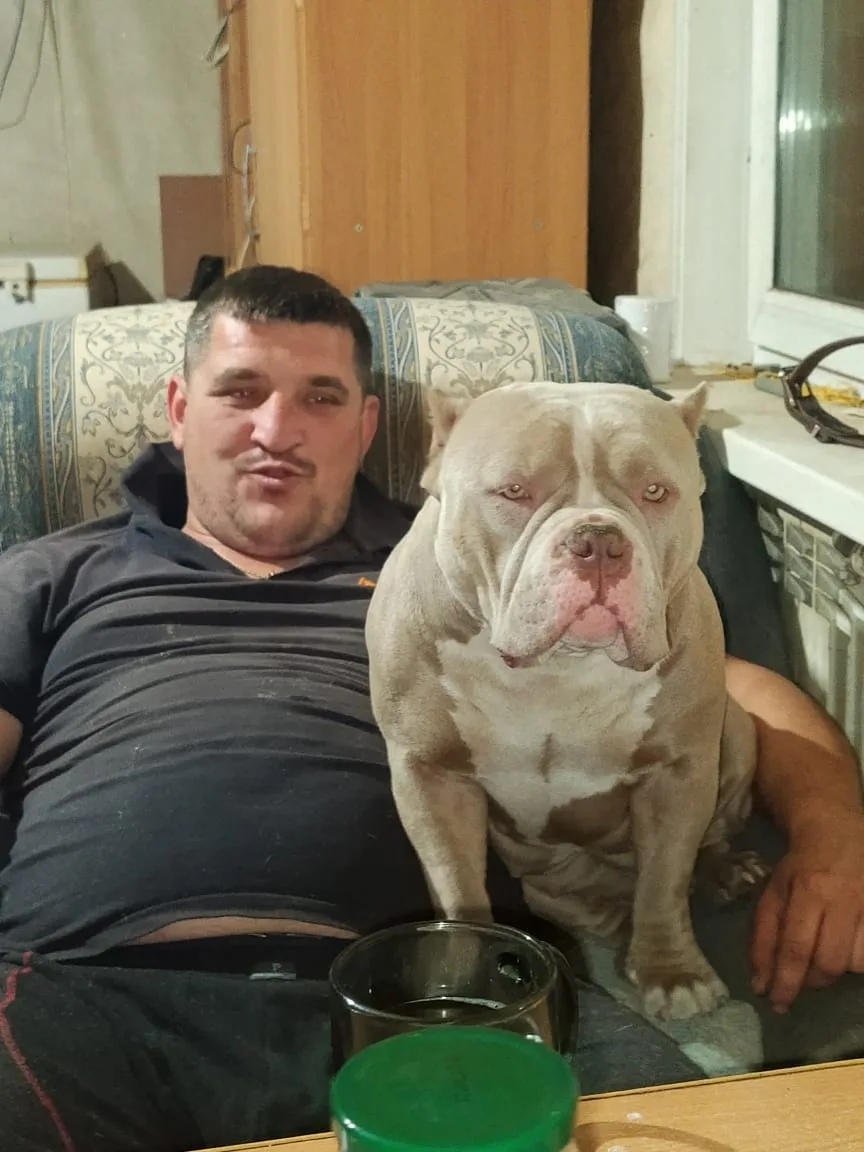 Пропала собака в Хабаровске — фото объявления