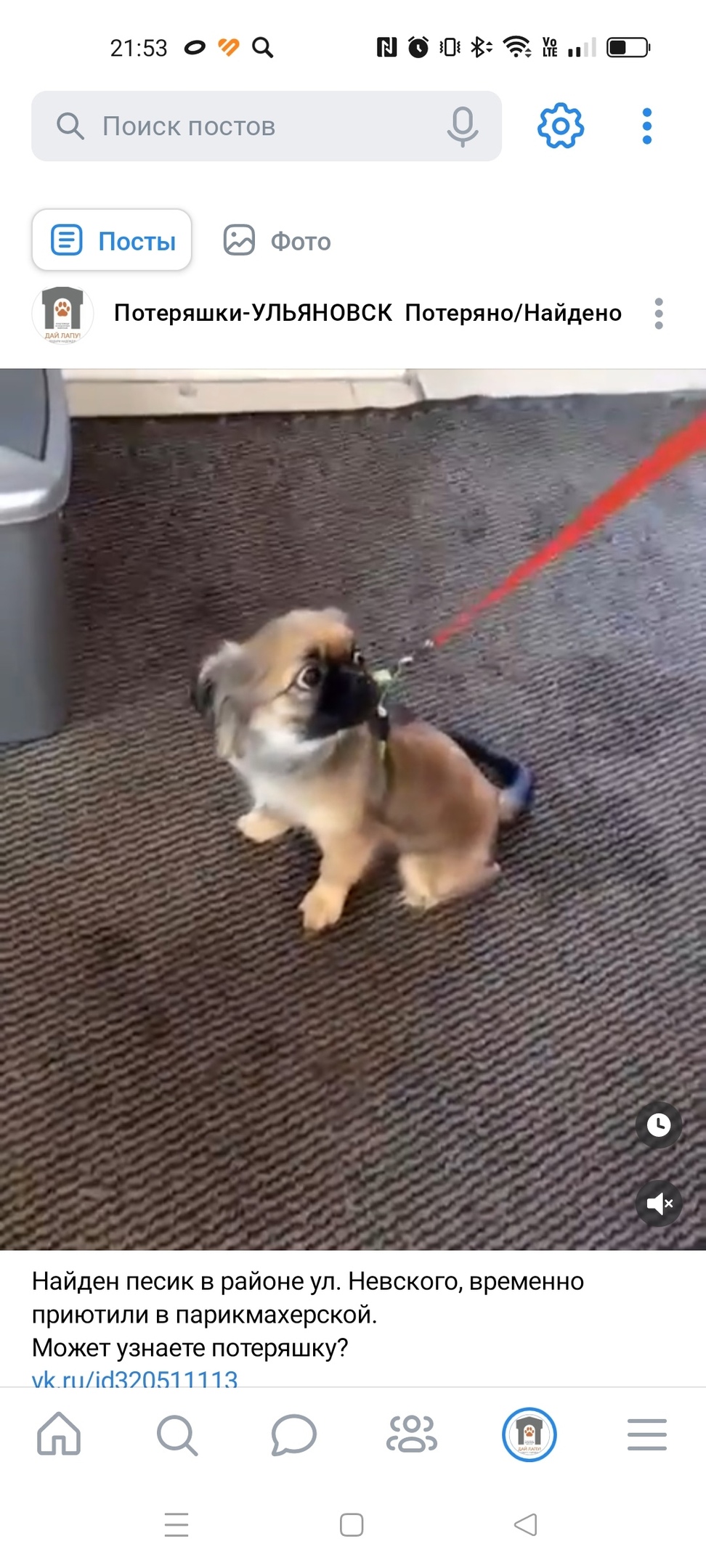 Найдена собака в Ульяновске — фото объявления