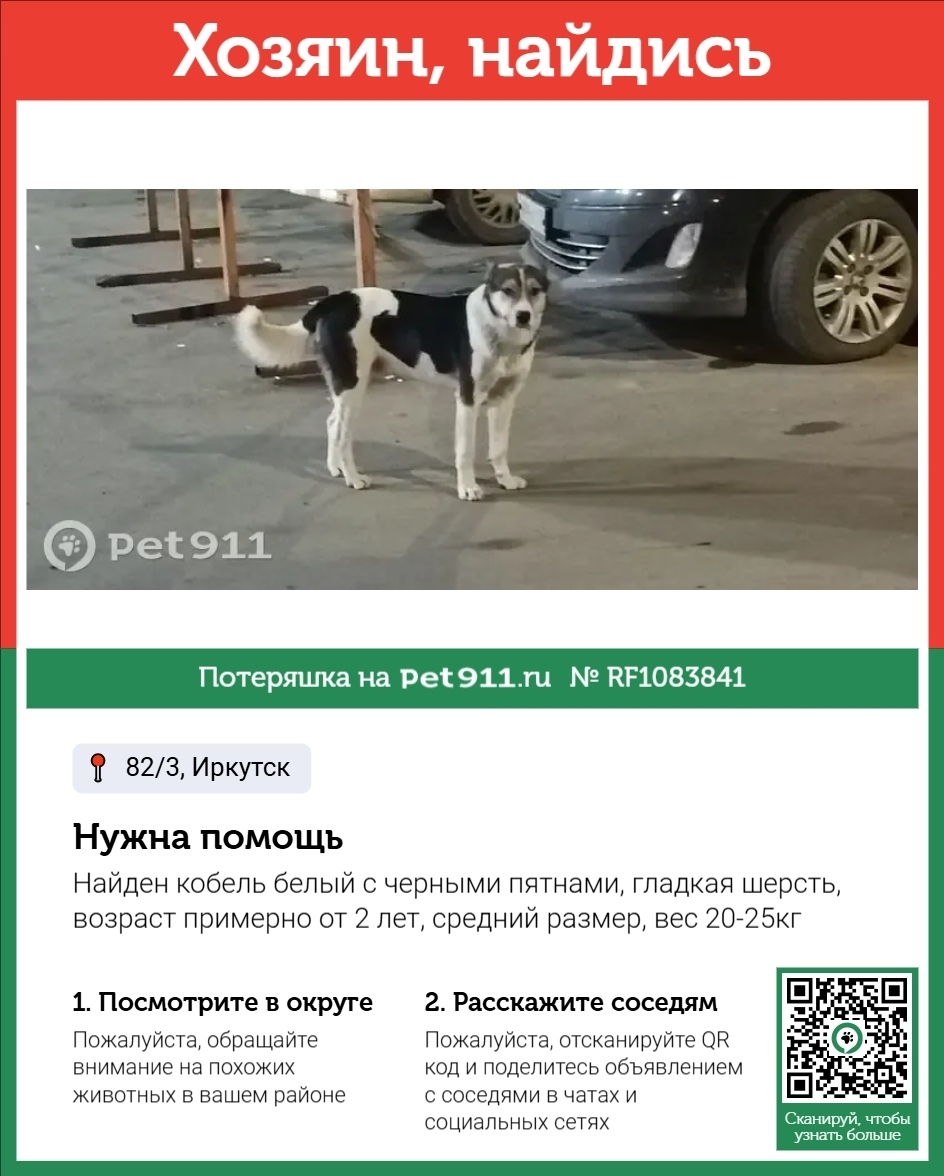 Найдена собака в Иркутске — фото объявления