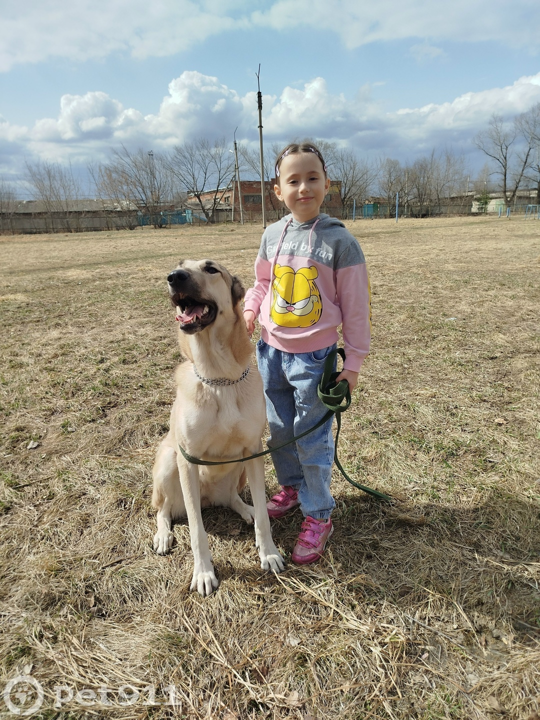 Пропала собака в Владивостоке — фото объявления