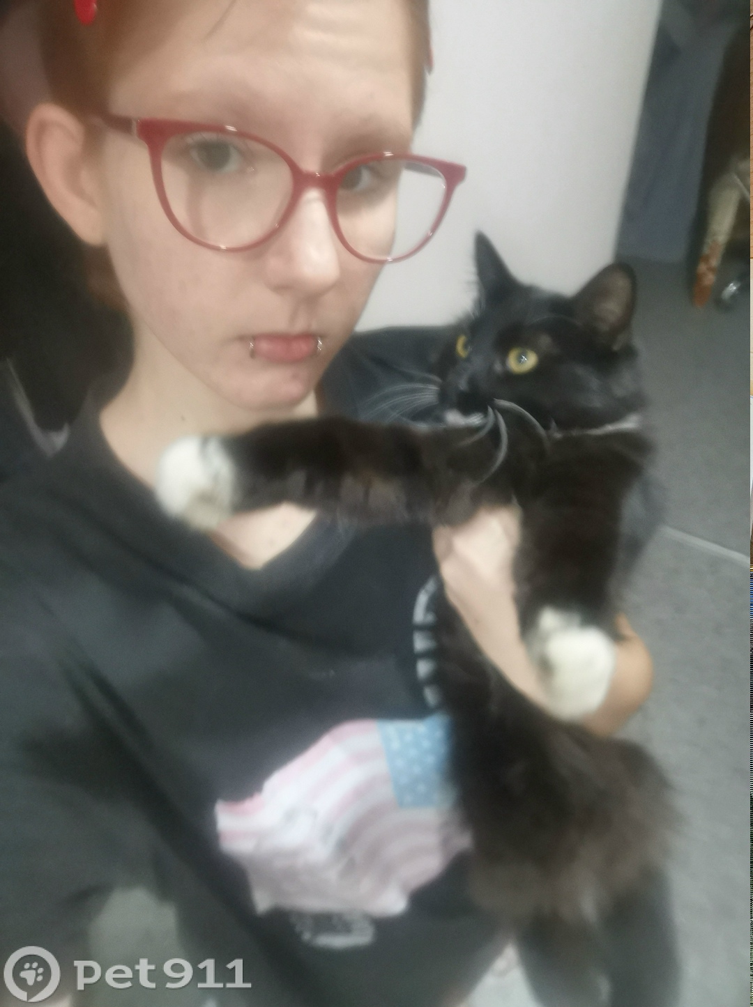 Найдена кошка в Владивостоке — фото объявления