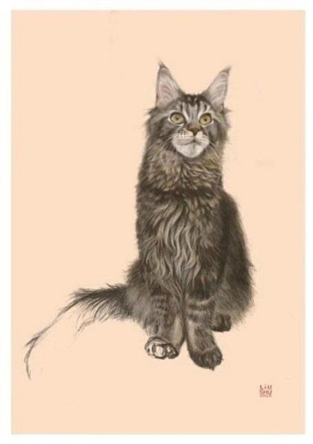 Найдена кошка в Кемерове — фото объявления