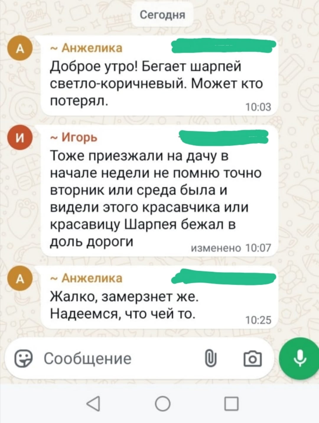 Найдена собака в Кемерове — фото объявления
