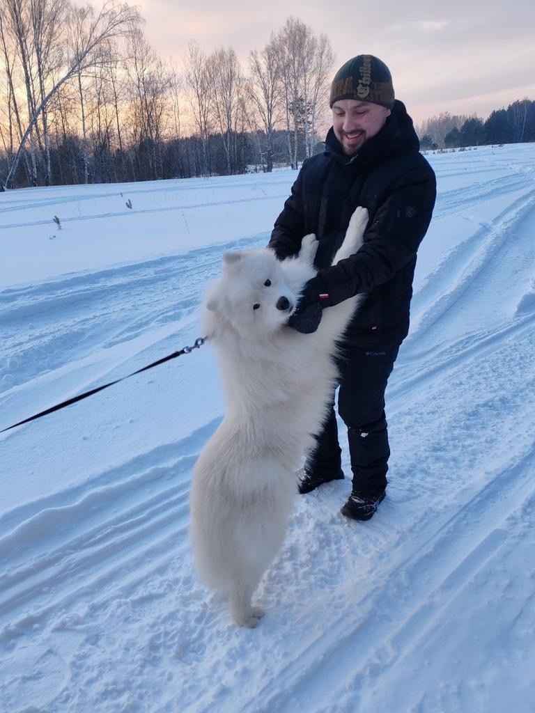 Пропала собака в Томске — фото объявления