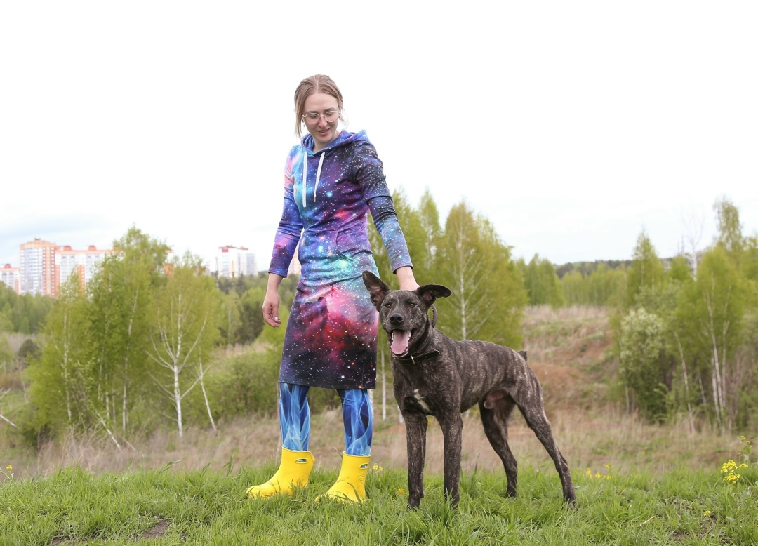 Найдена собака в Томске — фото объявления