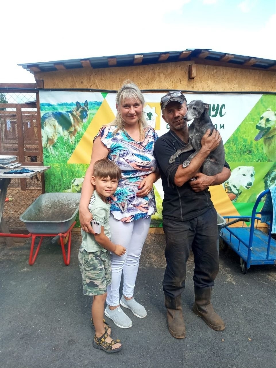 Найдена собака в Томске — фото объявления