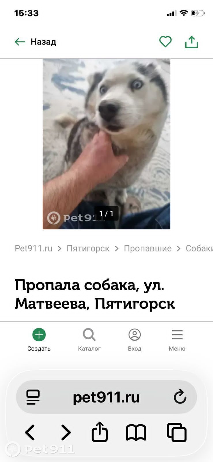 Пропала собака в Ставрополе — фото объявления