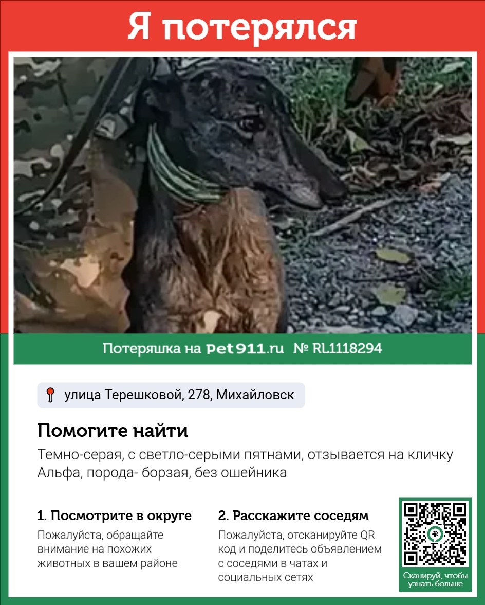 Пропала собака в Ставрополе — фото объявления