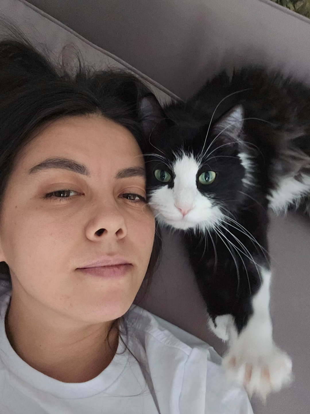 Пропала кошка в Ставрополе — фото объявления