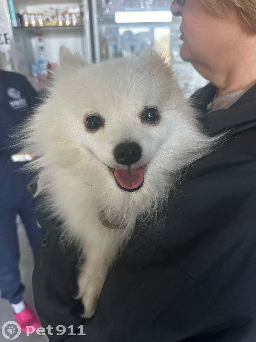 Найдена собака в Оренбурге — фото объявления