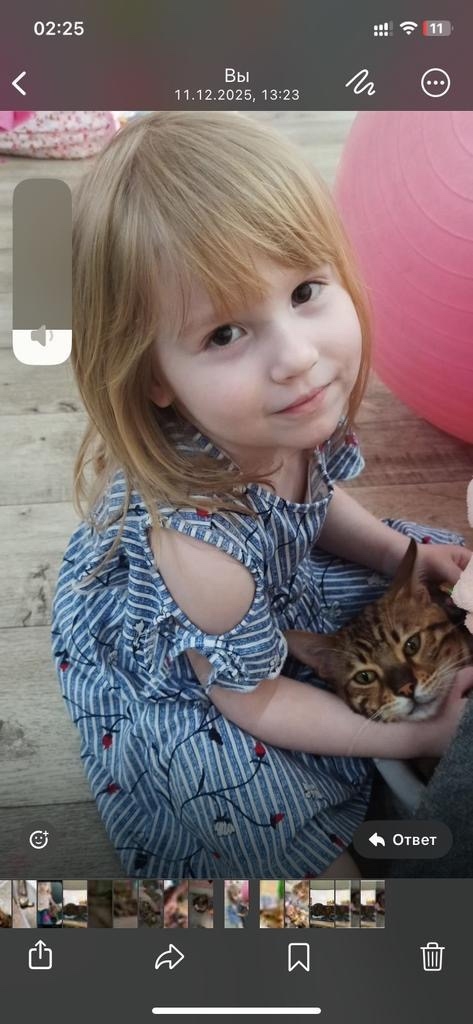 Пропала кошка в Оренбурге — фото объявления