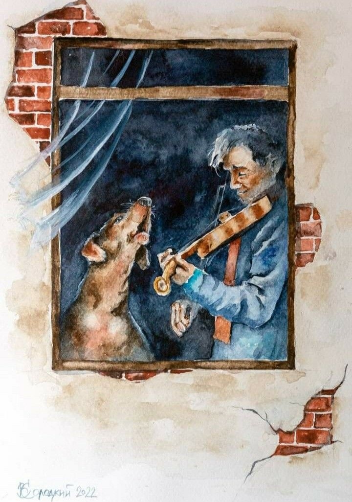 Найдена собака в Оренбурге — фото объявления