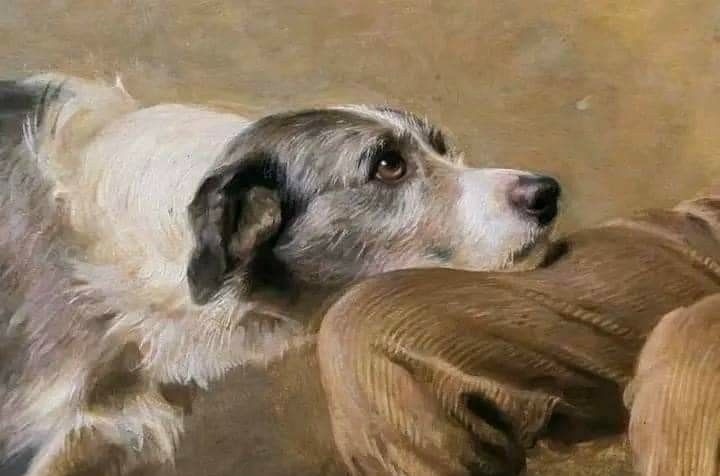 Найдена собака в Оренбурге — фото объявления