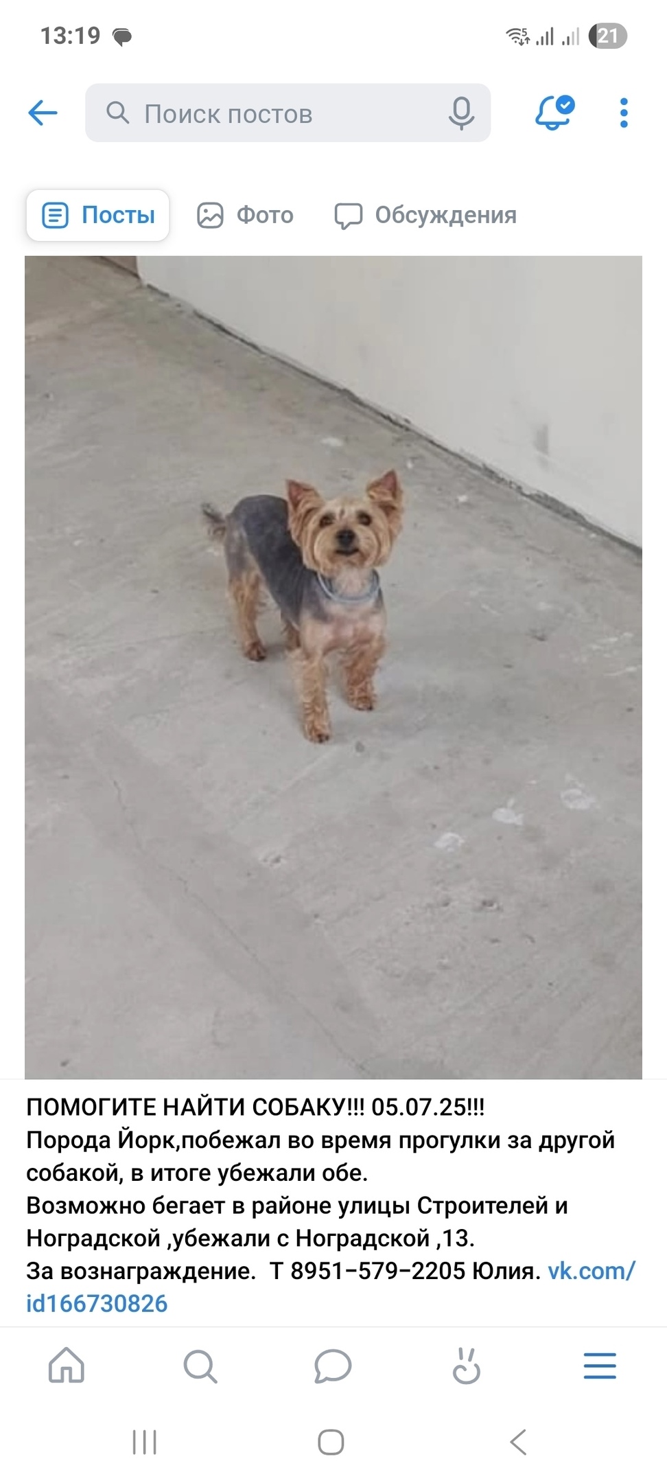 Пропала собака в Новокузнецке — фото объявления