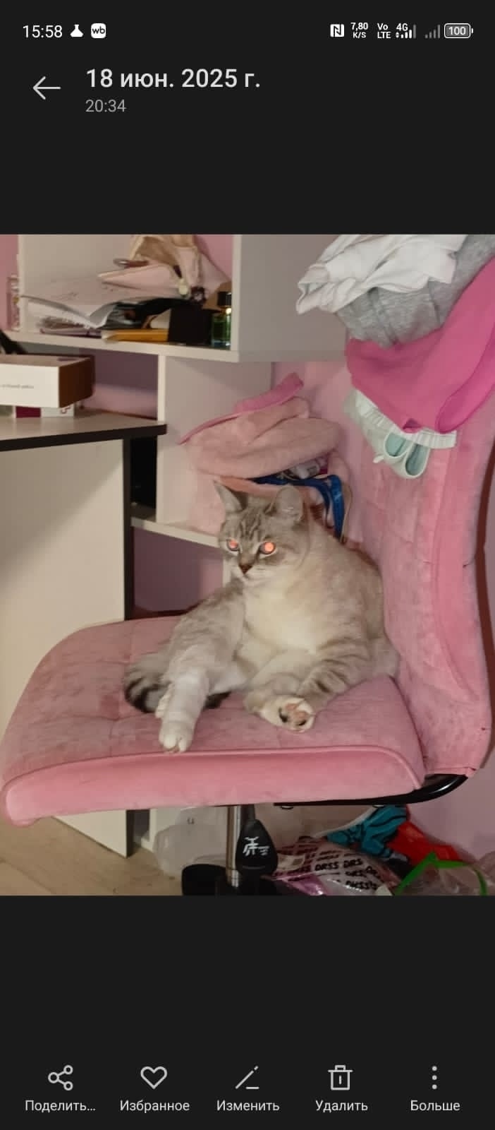 Пропала собака в Рязани — фото объявления