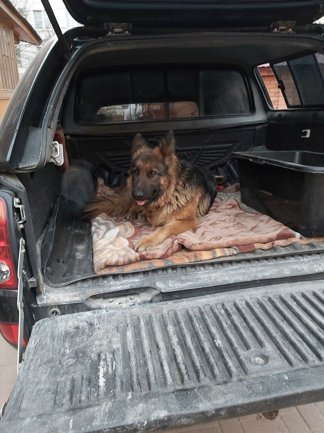 Пропала собака в Рязани — фото объявления