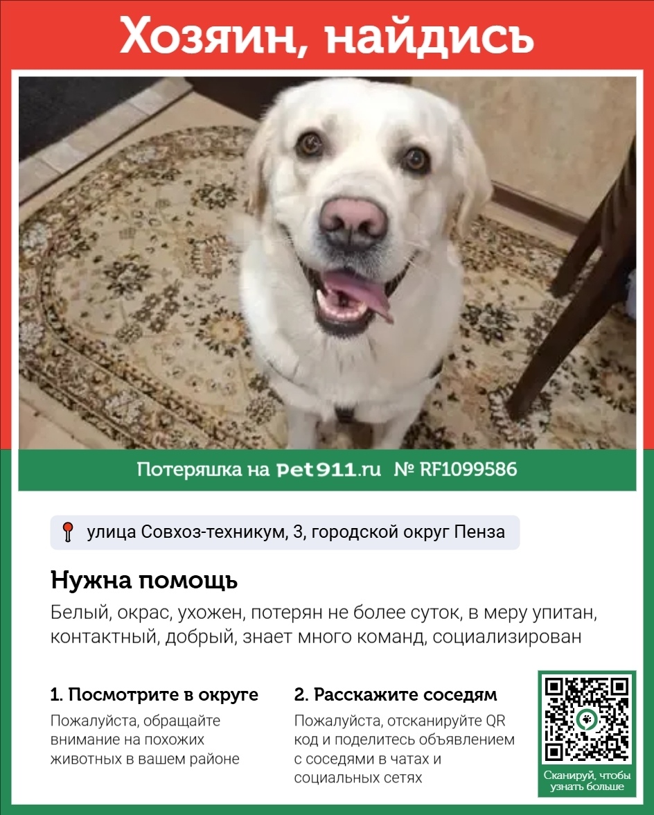 Найдена собака в Пензе — фото объявления