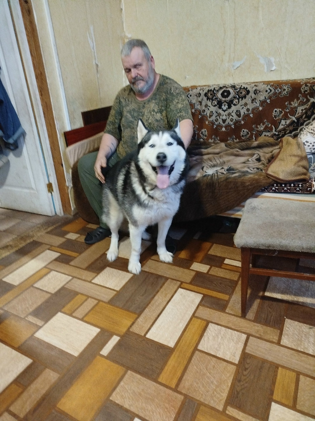 Найдена собака в Пензе — фото объявления