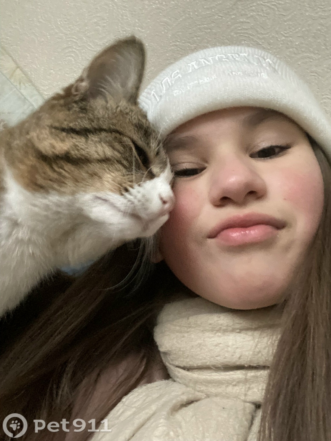 Пропала кошка в Пензе — фото объявления