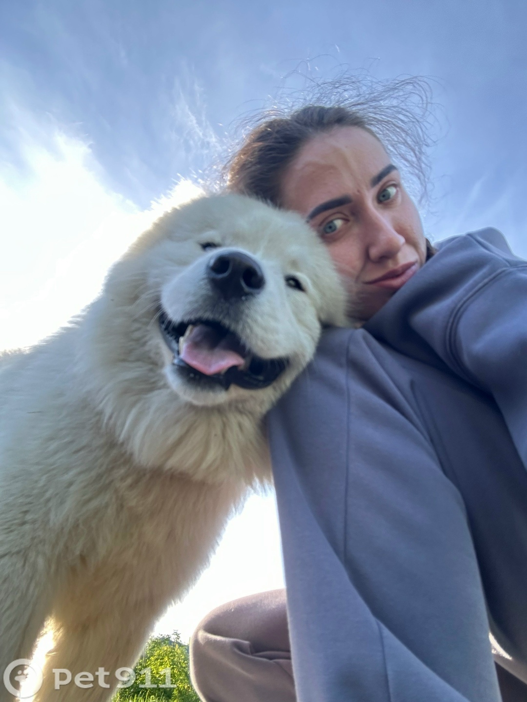 Пропала собака в Пензе — фото объявления