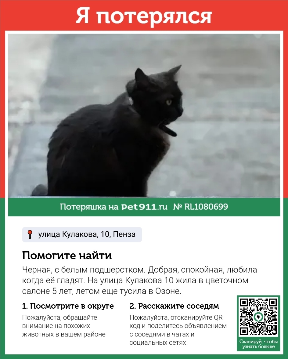 Пропала собака в Пензе — фото объявления