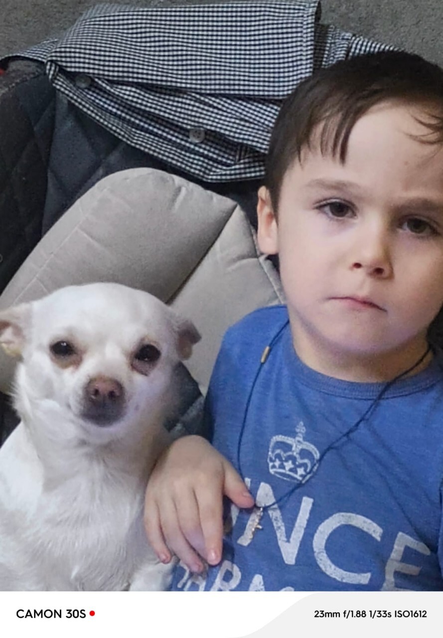 Найдена собака в Липецке — фото объявления