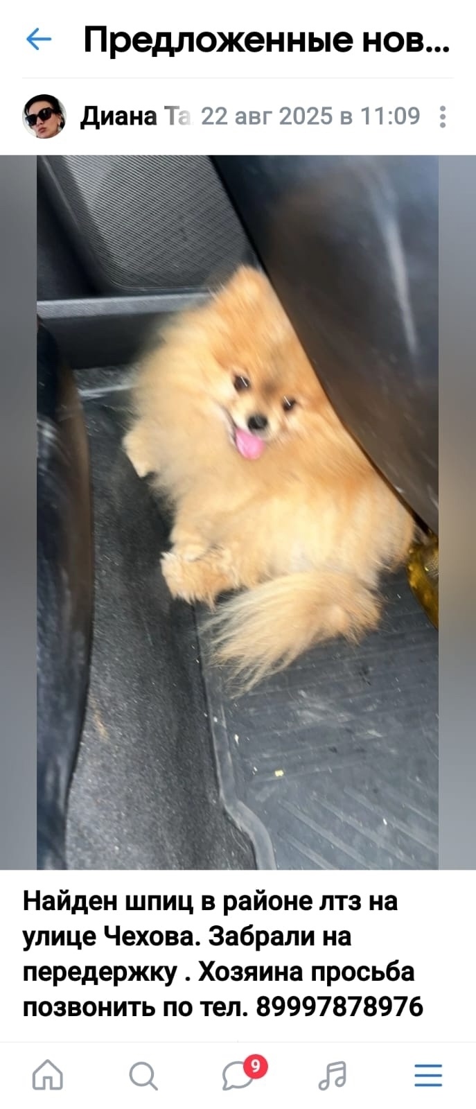 Найдена собака в Липецке — фото объявления