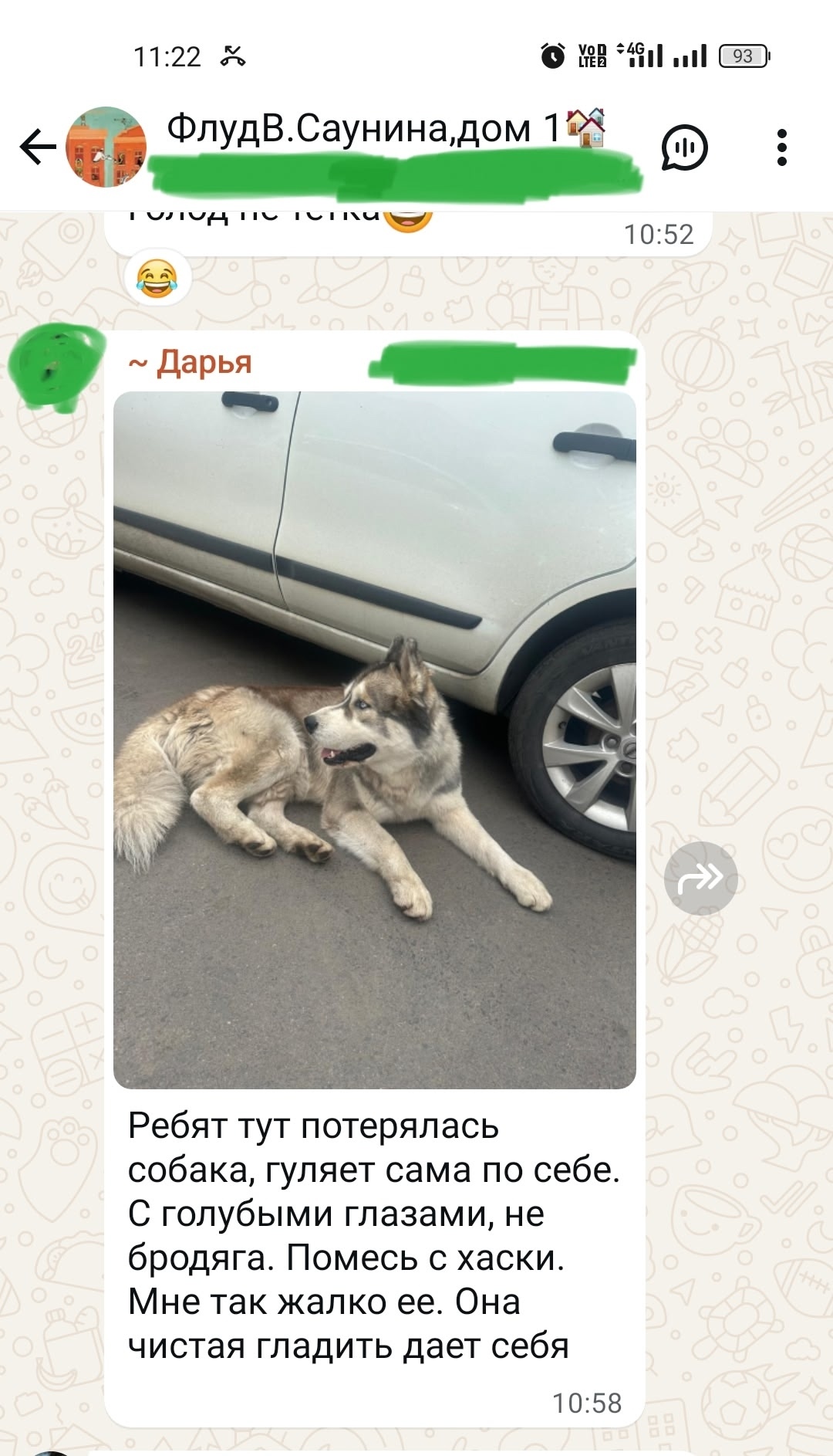 Найдена собака в Липецке — фото объявления