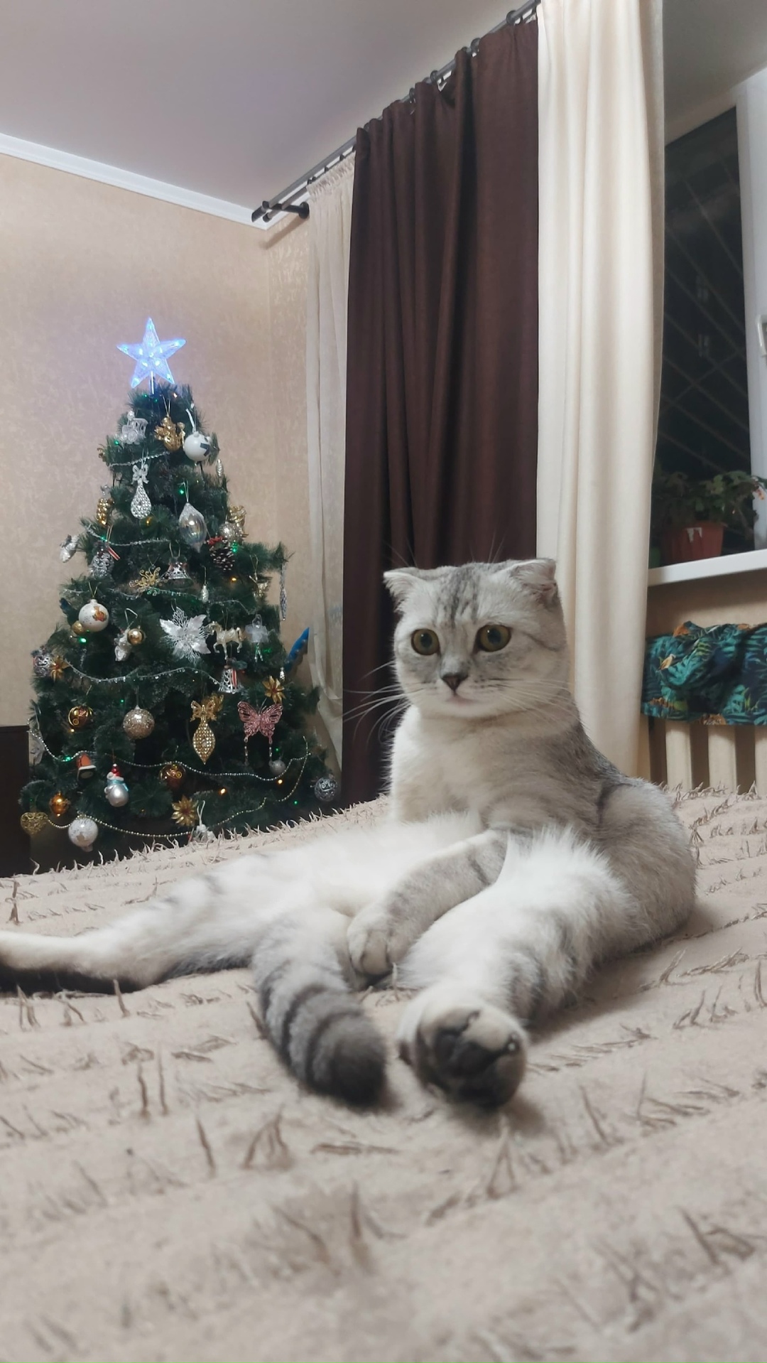 Найдена собака в Липецке — фото объявления