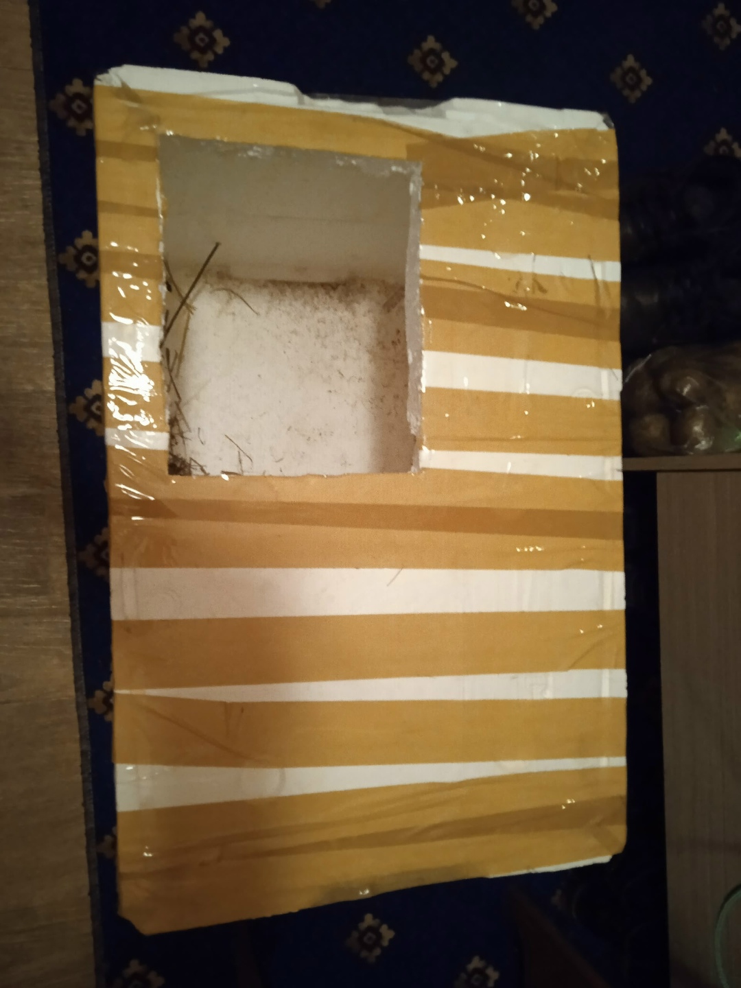 Найдена собака в Липецке — фото объявления