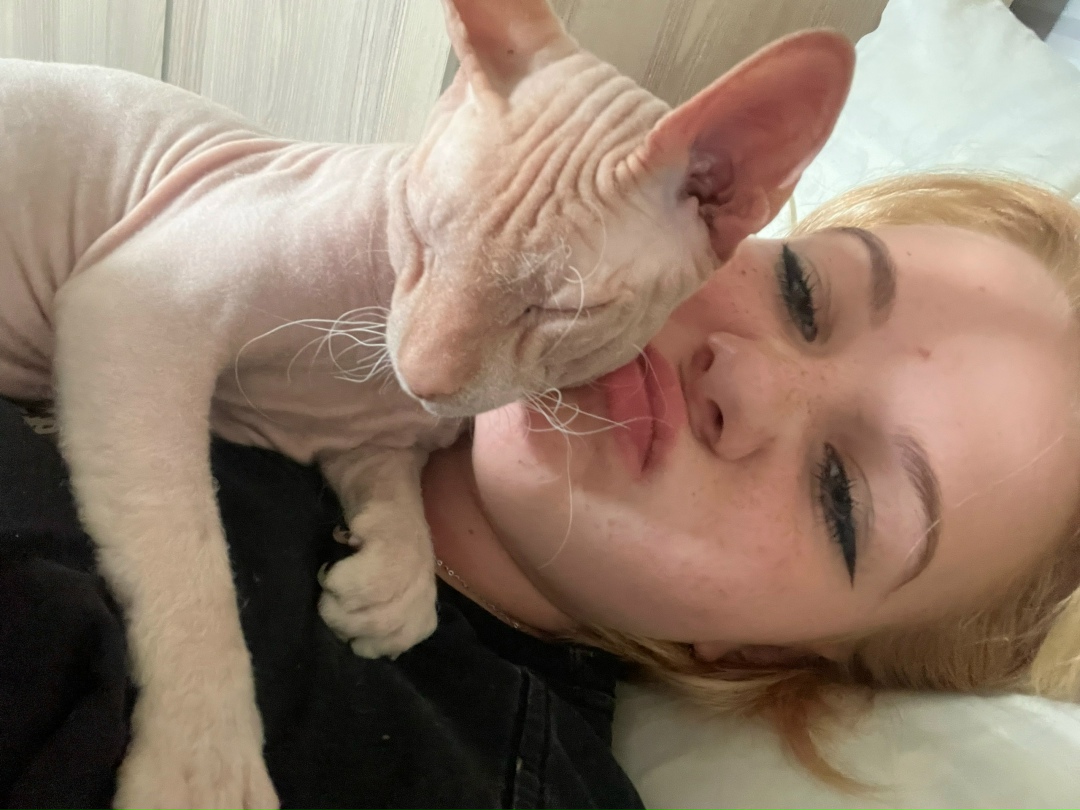 Найдена собака в Липецке — фото объявления