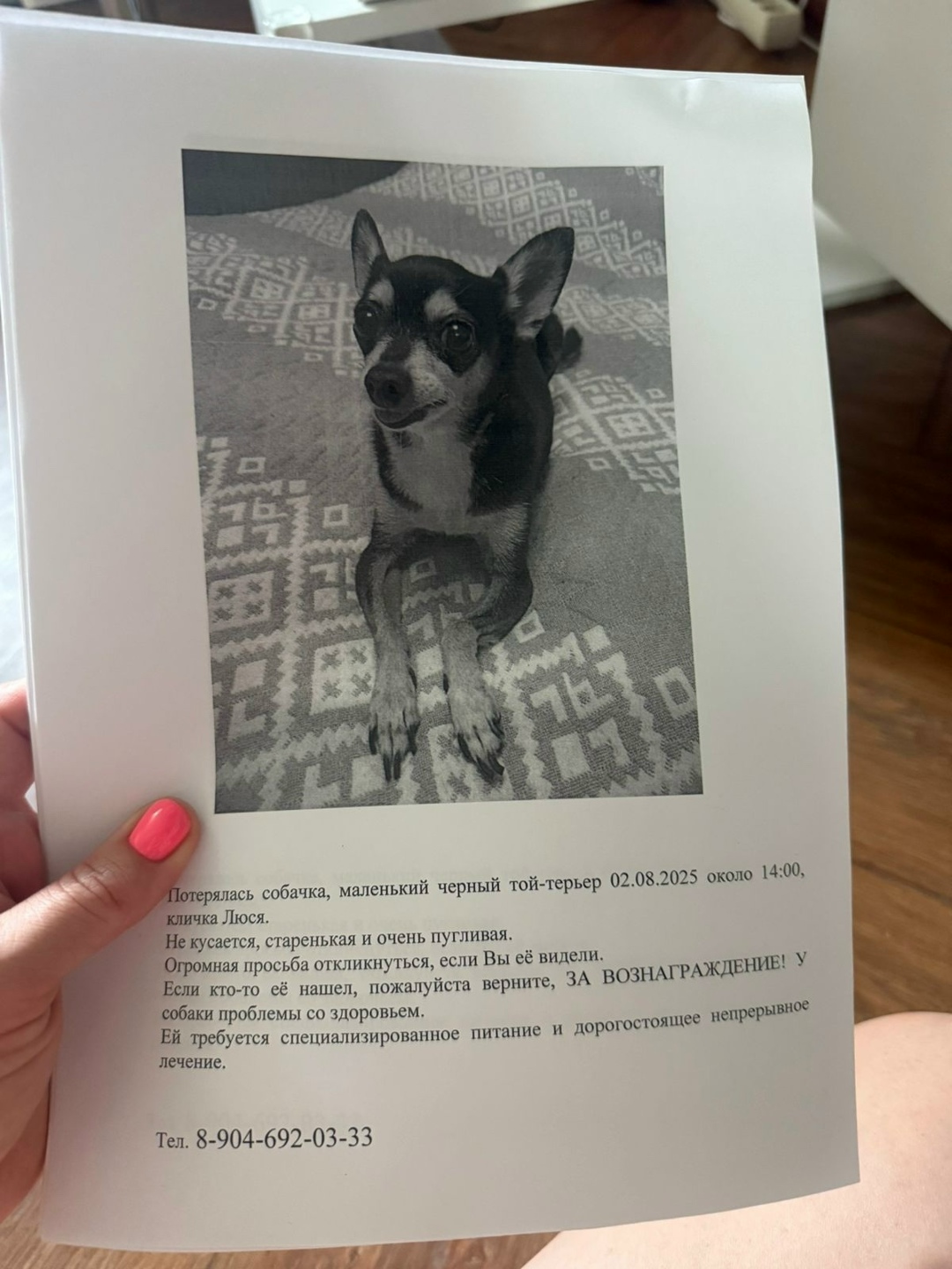 Пропала собака в Липецке — фото объявления