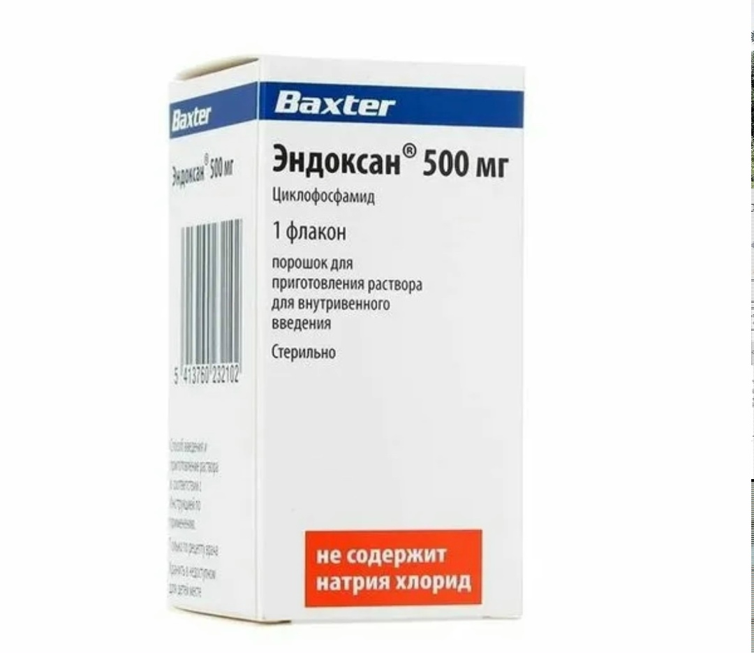 Найдена собака в Калининграде — фото объявления