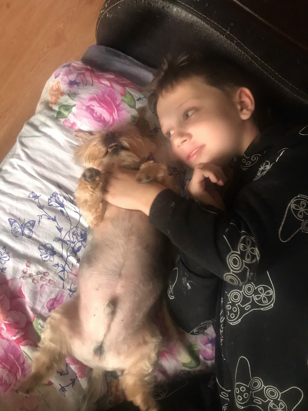 Найдена собака в Калининграде — фото объявления