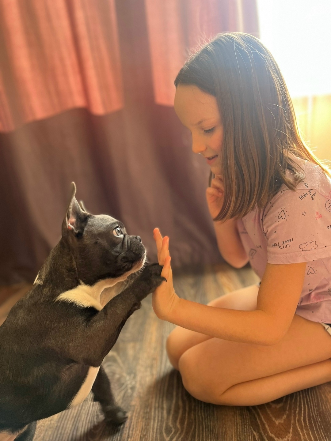 Пропала собака в Астрахани — фото объявления