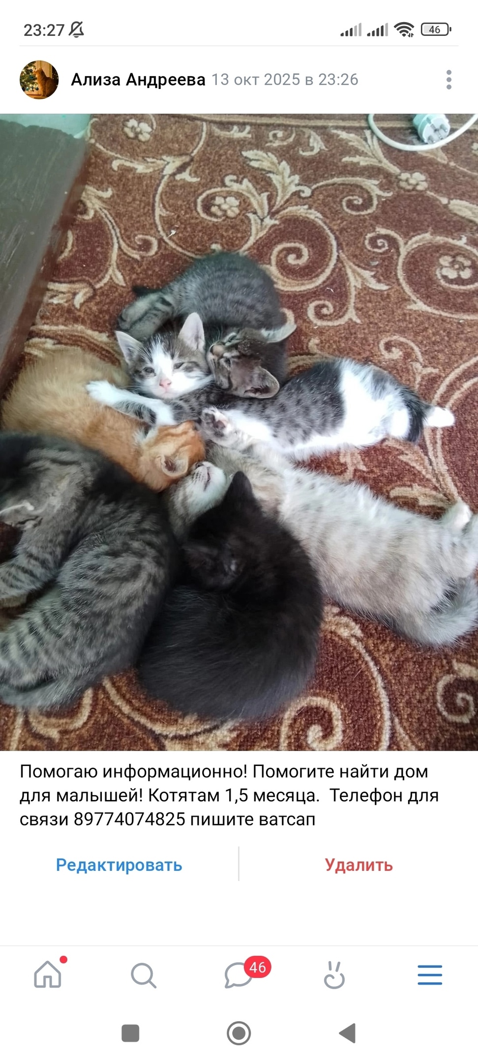 Найдена собака в Астрахани — фото объявления