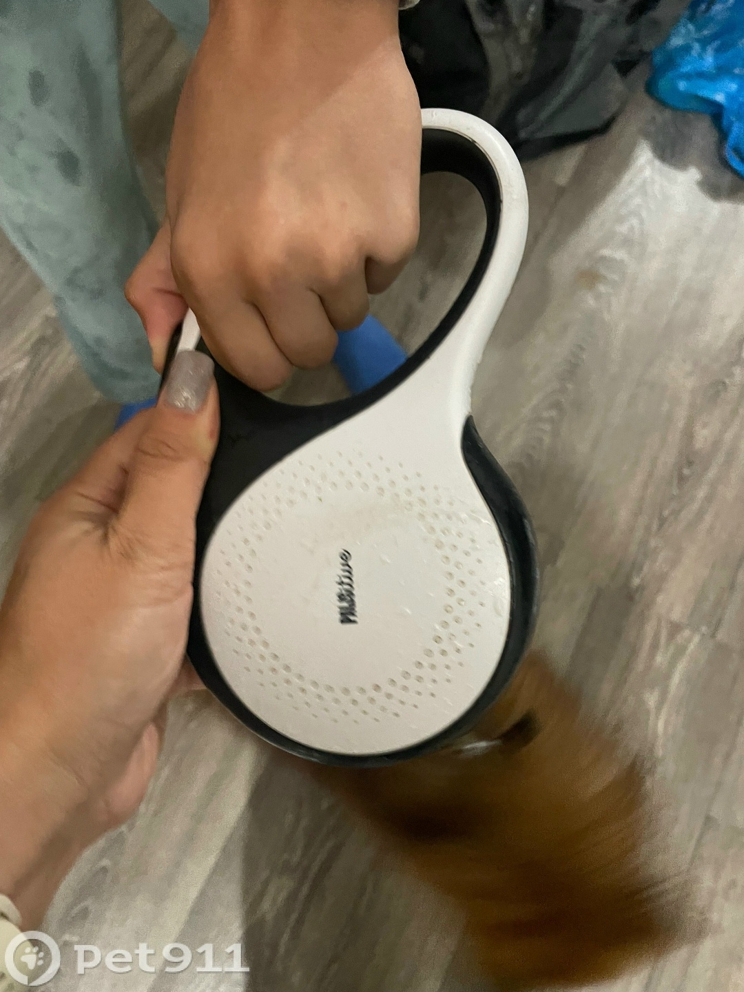 Найдена собака в Туле — фото объявления