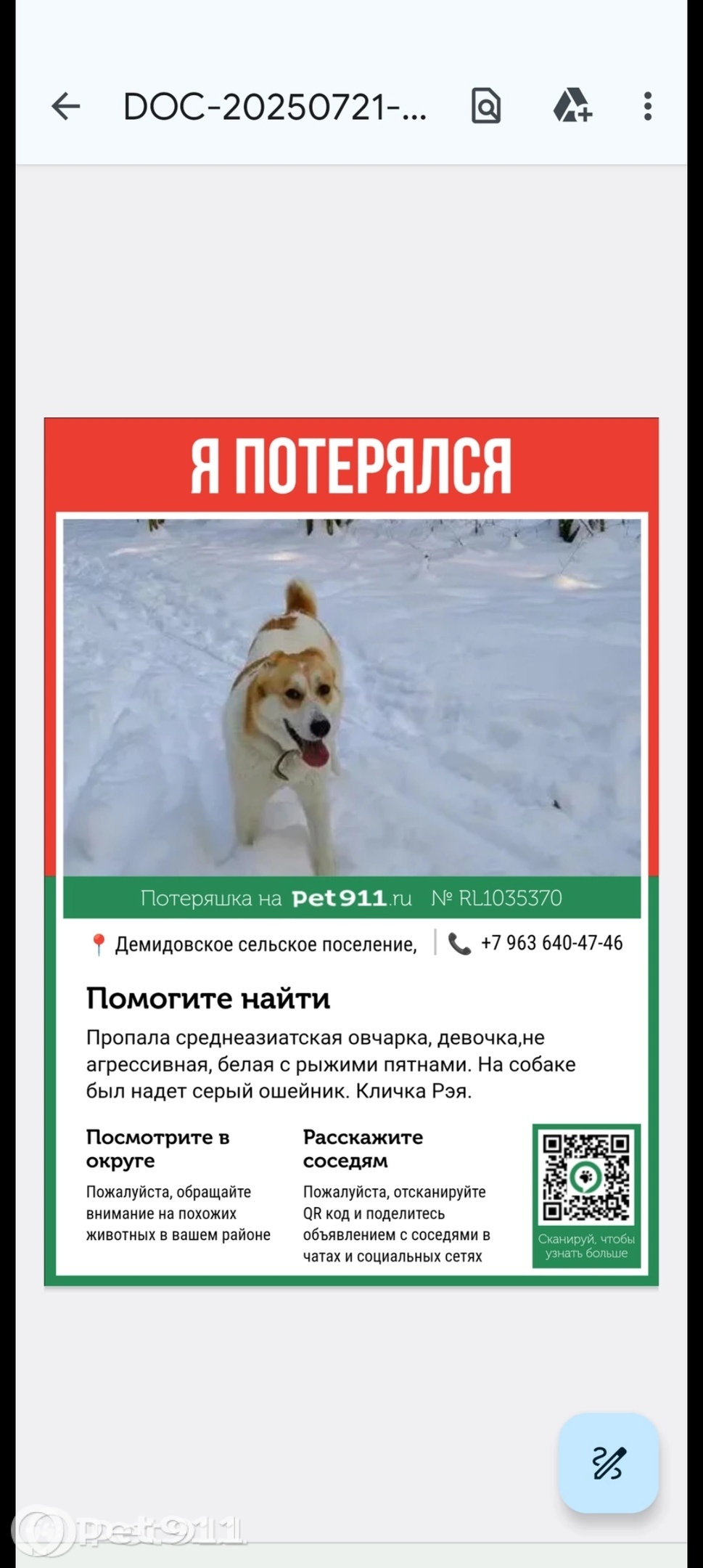 Пропала собака в Туле — фото объявления