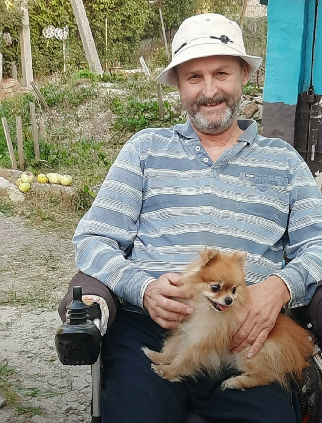 Пропала собака в Туле — фото объявления