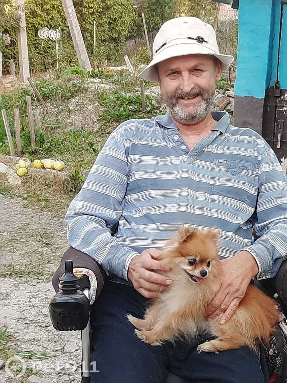 Пропала собака в Туле — фото объявления