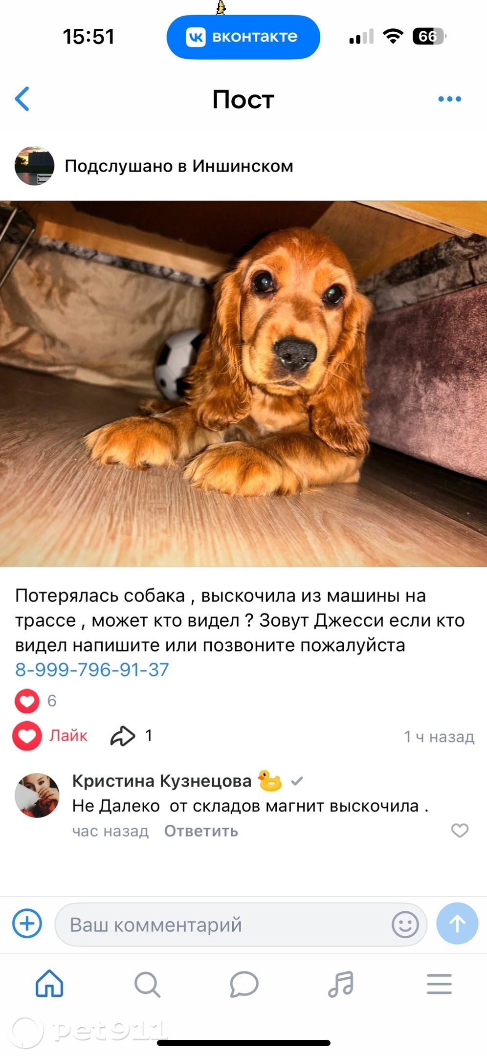 Пропала собака в Туле — фото объявления