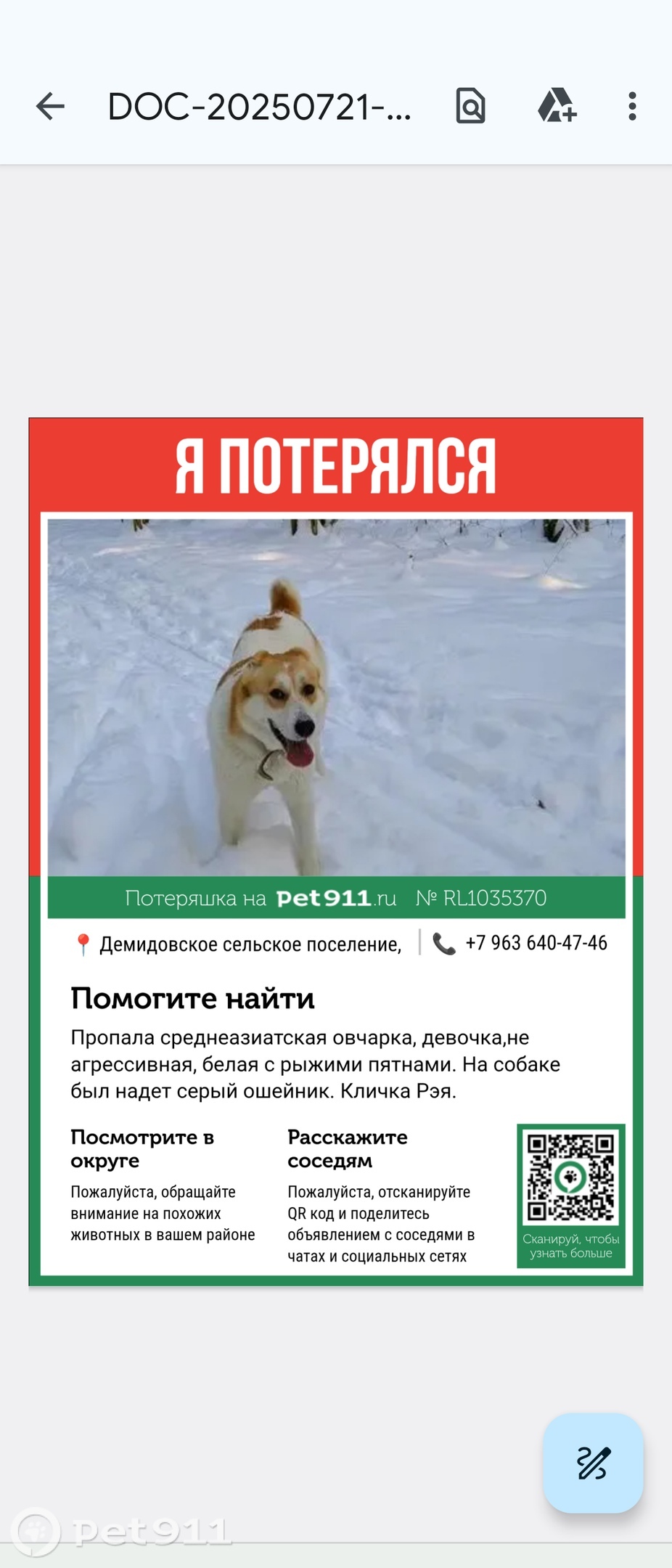 Пропала собака в Туле — фото объявления