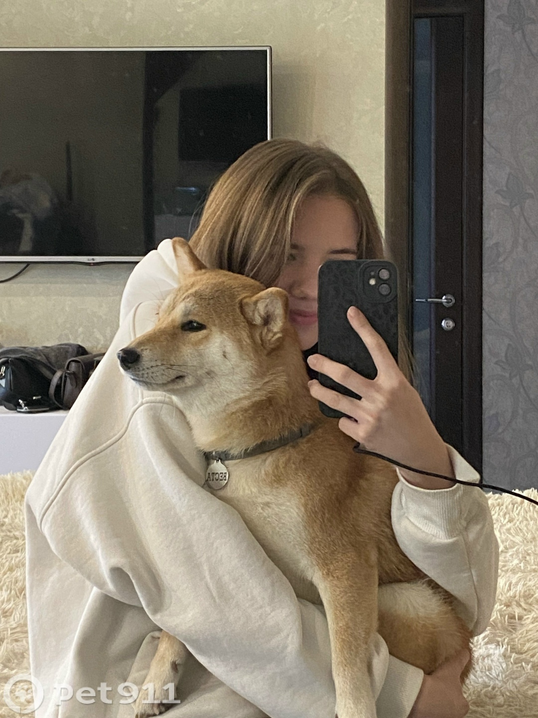 Пропала собака в Туле — фото объявления