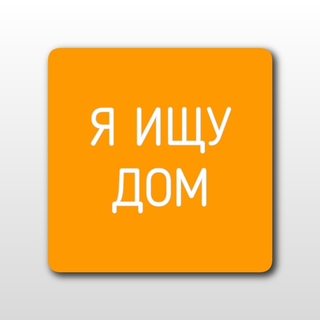 Найдена собака в Кирове — фото объявления