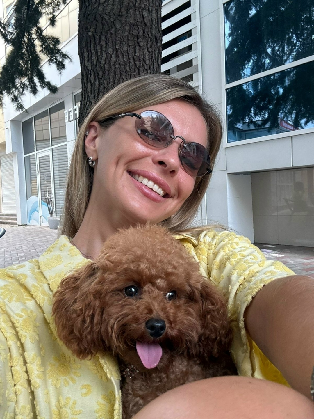 Пропала собака в Сочи — фото объявления