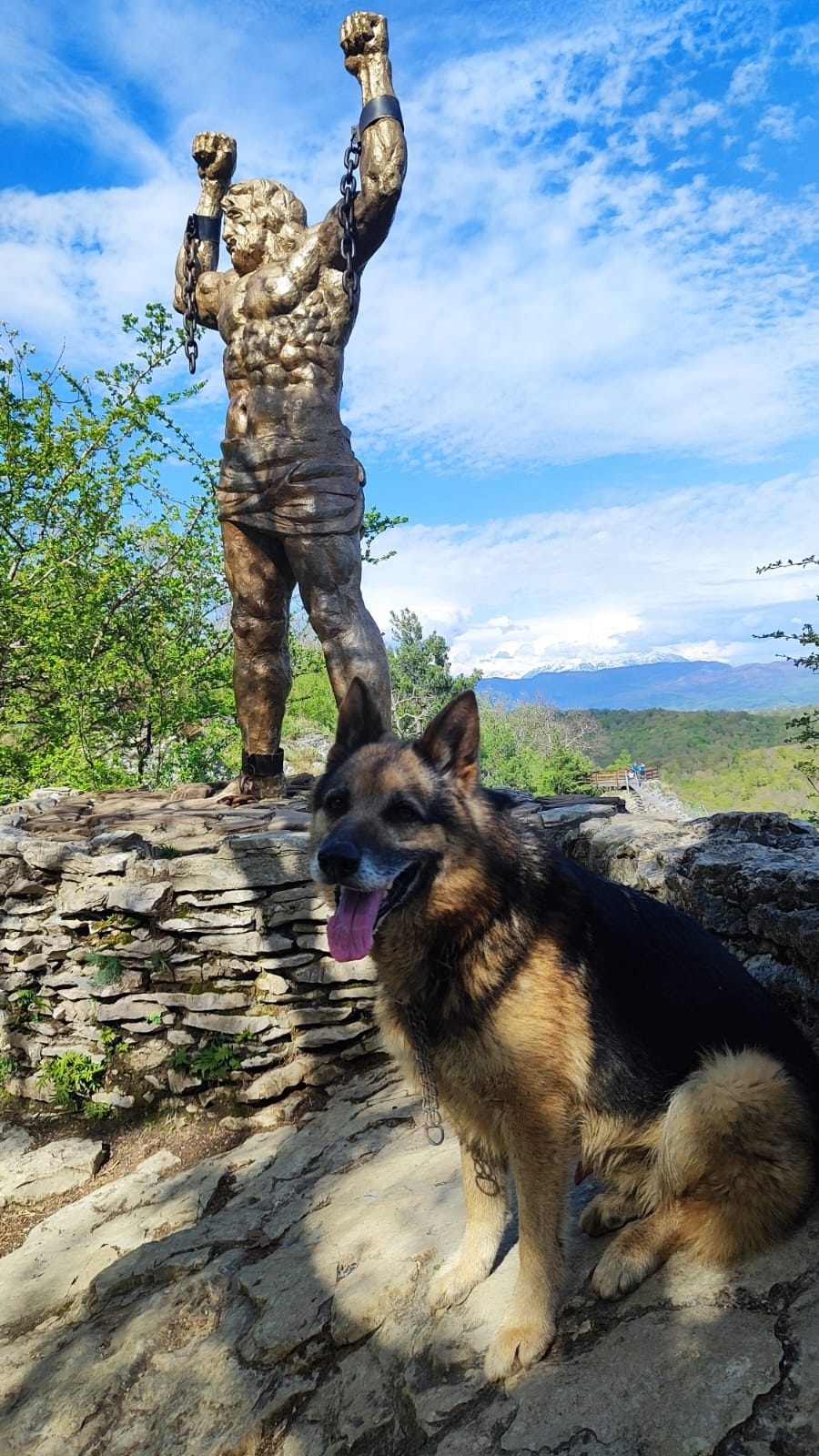 Пропала собака в Сочи — фото объявления