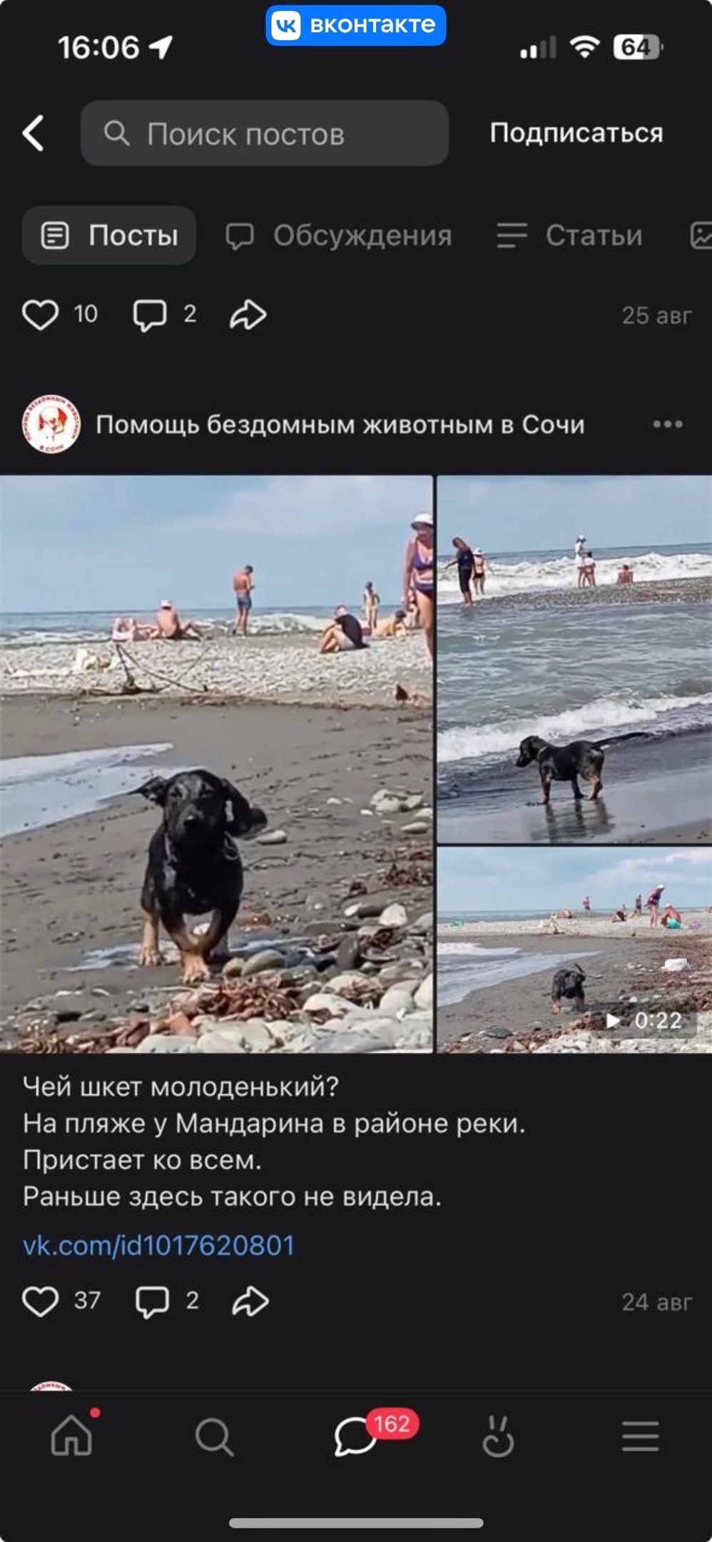 Найдена собака в Сочи — фото объявления