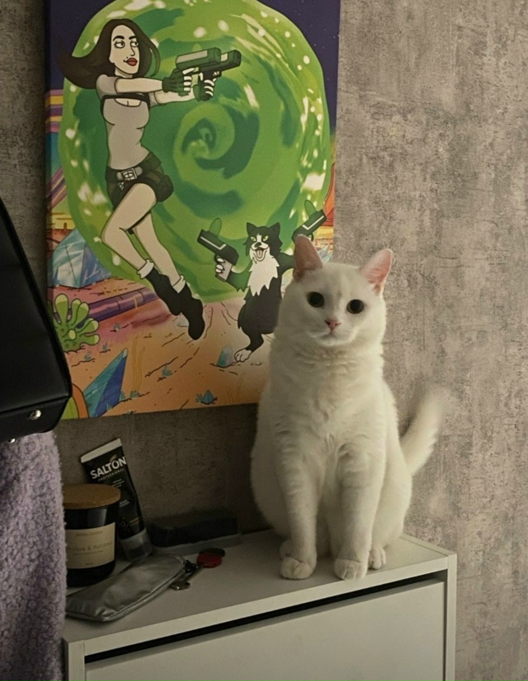 Пропала кошка в Курске — фото объявления